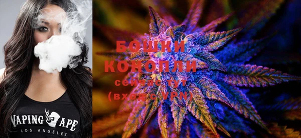СК Осинники