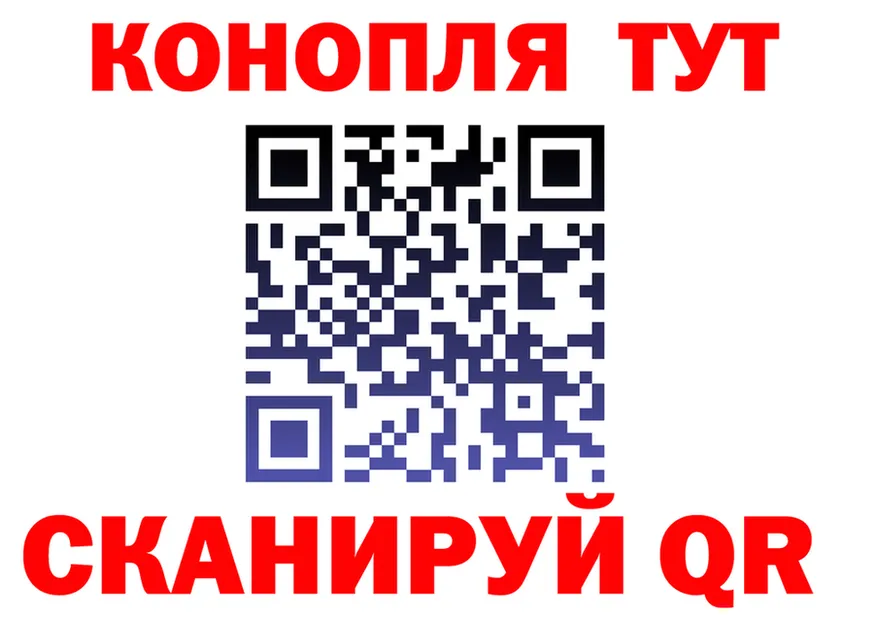 ГАШ Premium маркетплейс площадка OMG Сертолово