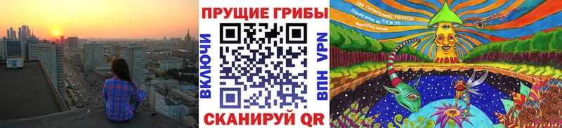 Псилоцибиновые грибы GOLDEN TEACHER  магазин  наркотиков  Сертолово 
