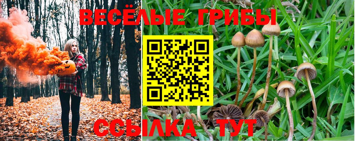 Мефедрон кристаллы  МЕФ  Сертолово  COCAIN  Вход с VPN  ГАШИШ 