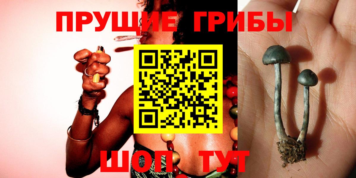 Псилоцибиновые грибы мицелий  Псилоцибиновые грибы ЛСД  Вход с VPN  Сертолово 