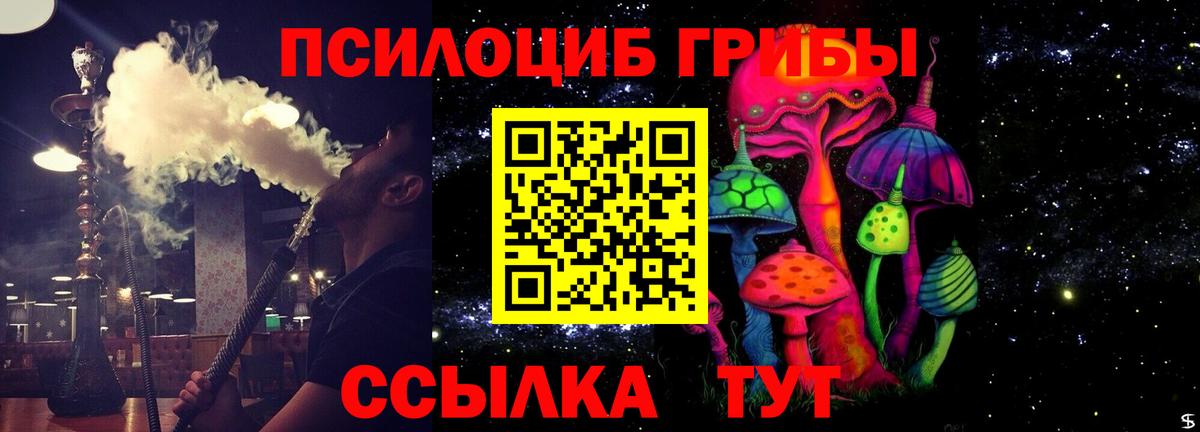 Псилоцибиновые грибы Psilocybe Сертолово